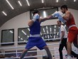 Azərbaycan çempionatı: yarımfinal döyüşlərinə start verilib